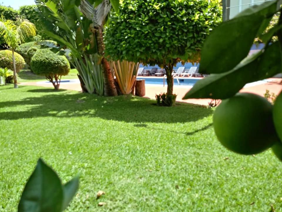 Hotel Alamo Internacional San Salvador Luaran gambar