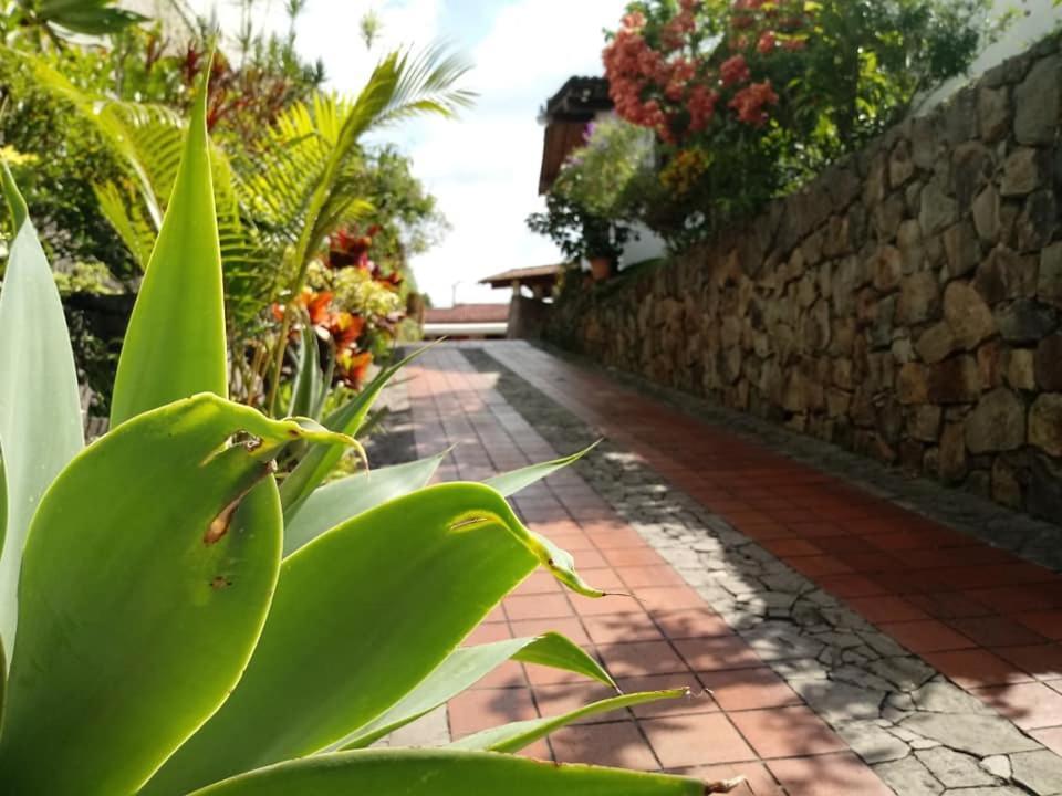 Hotel Alamo Internacional San Salvador Luaran gambar